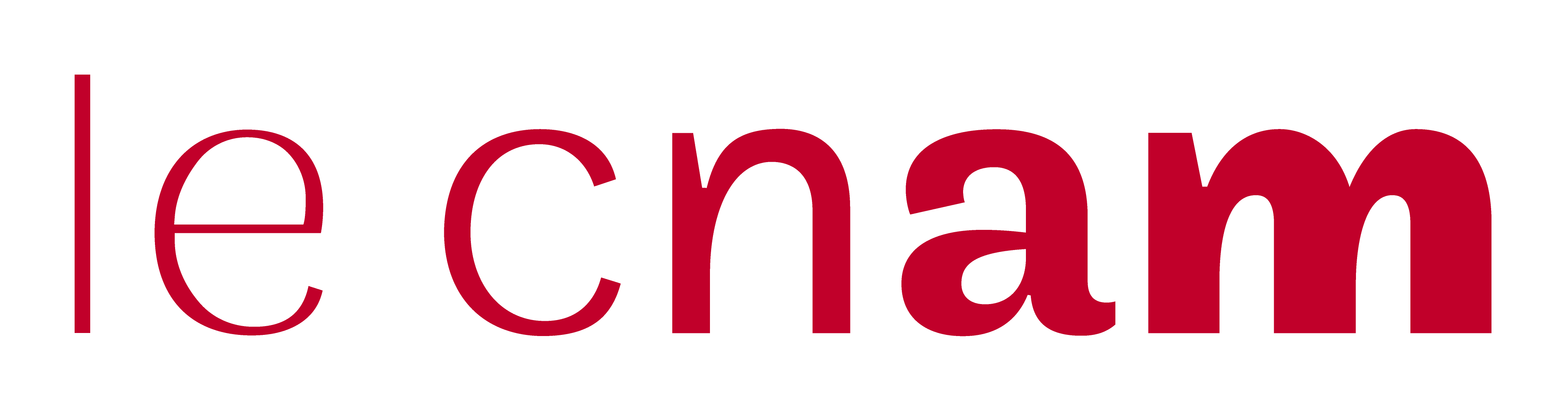 Cnam logo